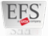 EFS Checks